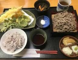 森樹