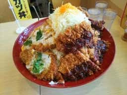 かつさと 田原めっくんはうす店