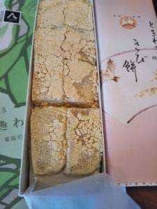 ときわぎ 常盤木