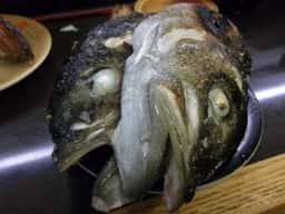 回転寿司 喜楽 高槻岡本店