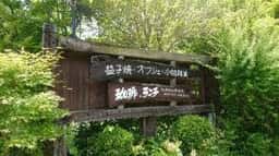 杜の詩