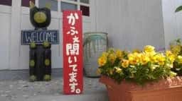 農家cafe ののか