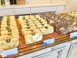 Kahon-Plus 白島店
