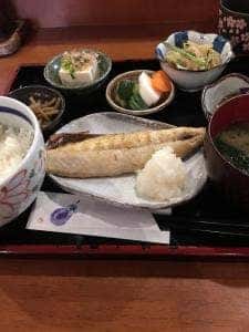柿之木