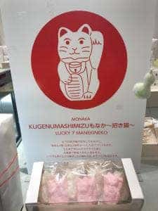 KUGENUMA SHIMIZU
