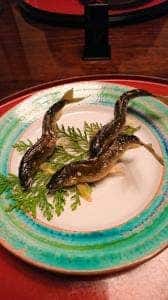 きらく懐石割烹