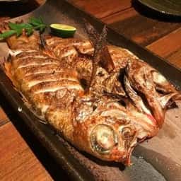 りゅうの介
