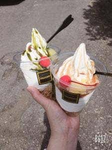 高原アイスクリーム研究所