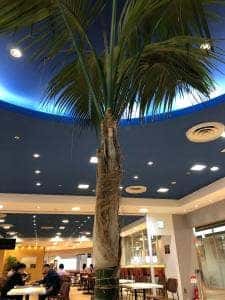 スパイス王国mini Oh!me大津テラス店