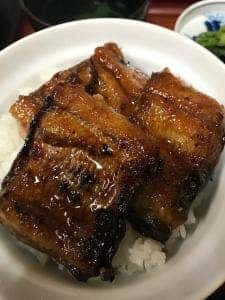 小坂鯉店