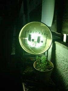 ビーグルズジェイジェイカフェ