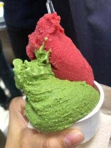 サルテリア