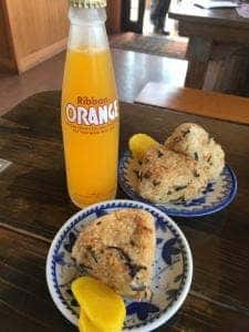 日田鮎やな場茶屋