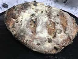 パンヤ ジュンヤ