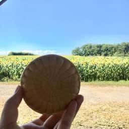 道の駅三本木やまなみ