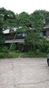 麦客庵