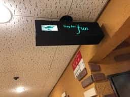 stay bar fun