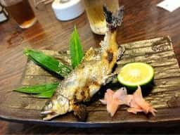 土佐料理 寿し一