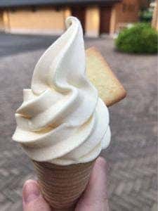 なばなの里 村の市
