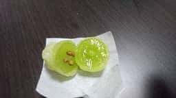 宗家 源 吉兆庵 銀座松屋
