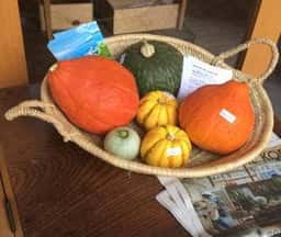 FARM STAND