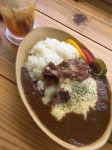 ガジュマルロック