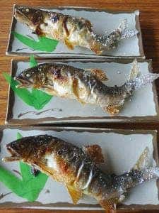 赤石やな