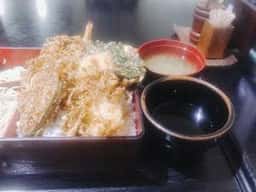 うつ木