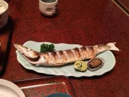 魚処 豆狸