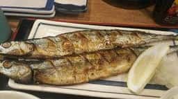 磯丸水産 立川北口大通り店