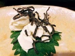 遊食家 十五十五