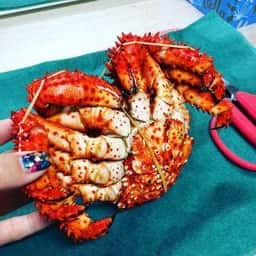 かにの庄屋