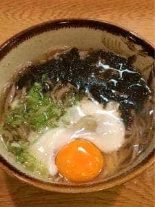 やぶ椿