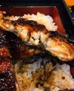 炭焼きうなぎ 新城