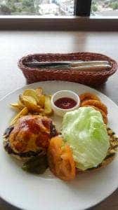 スカイバー カプリコン