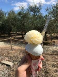 天草オリーブ園 AVILO