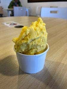 Premium Gelato みるく 道の駅 サシバの里いちかい