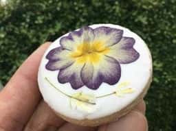 米粉 sweets kinun