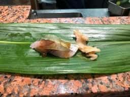 土佐鮨処おらんく家本通3号店