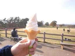 大山まきばみるくの里