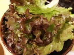 備長炭火ホルモン焼しちりん 八千代緑が丘北口駅前店