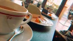 センプレコンテ パティオ