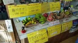 川平マエタケ農園