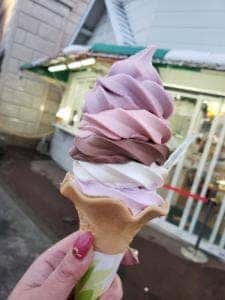 ヴェネツィア カフェテリア