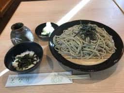 志な乃