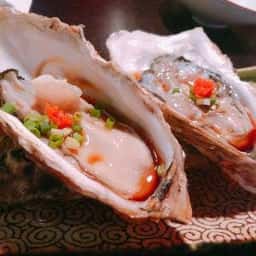 海月