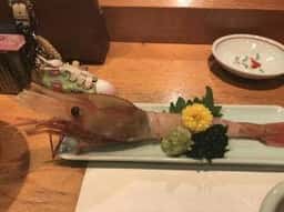 磯