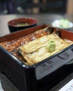 鰻樹