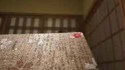 神楽坂 梅助