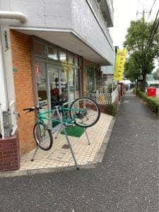 アプリコット